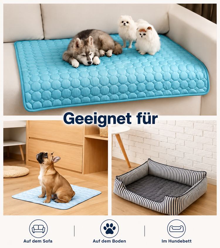 Kühlmatte für Hunde & Katzen auf Sofa, Boden und im Hundebett für komfortable Kühlung und Entspannung.