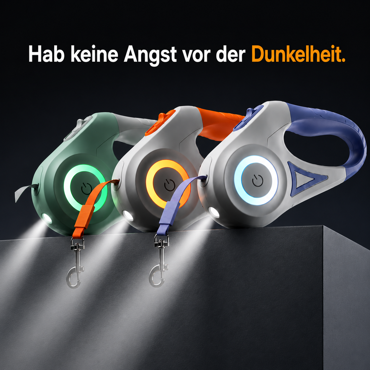 LED Hundeleine mit Licht