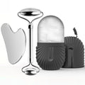 Ice Roller & Gua Sha Set