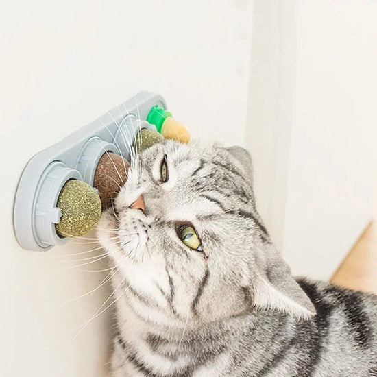 Katzenminze-Ball drehbar, zum Aufkleben an die Wand